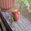 Small image 7
