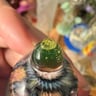 Small image 2