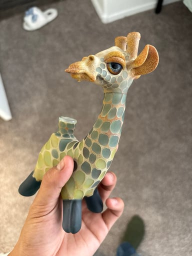 Preview pic of Robertson giraffe