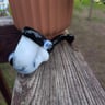 Small image 3