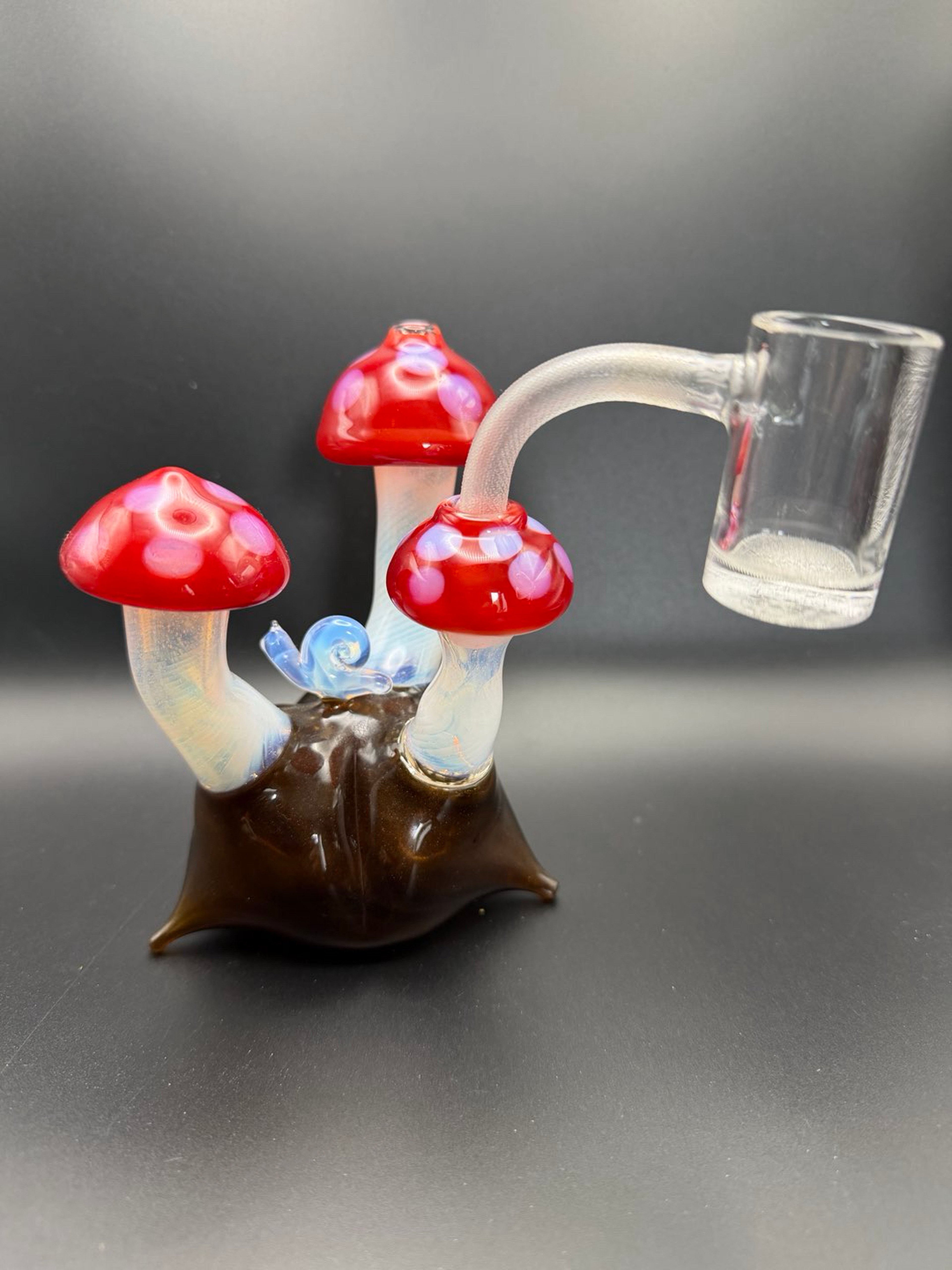Preview pic of Mr. G glass 1 of 1 mushroom rig