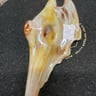 Small image 5