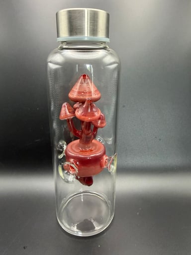 Preview pic of Redtail Glass mushroom water bottle