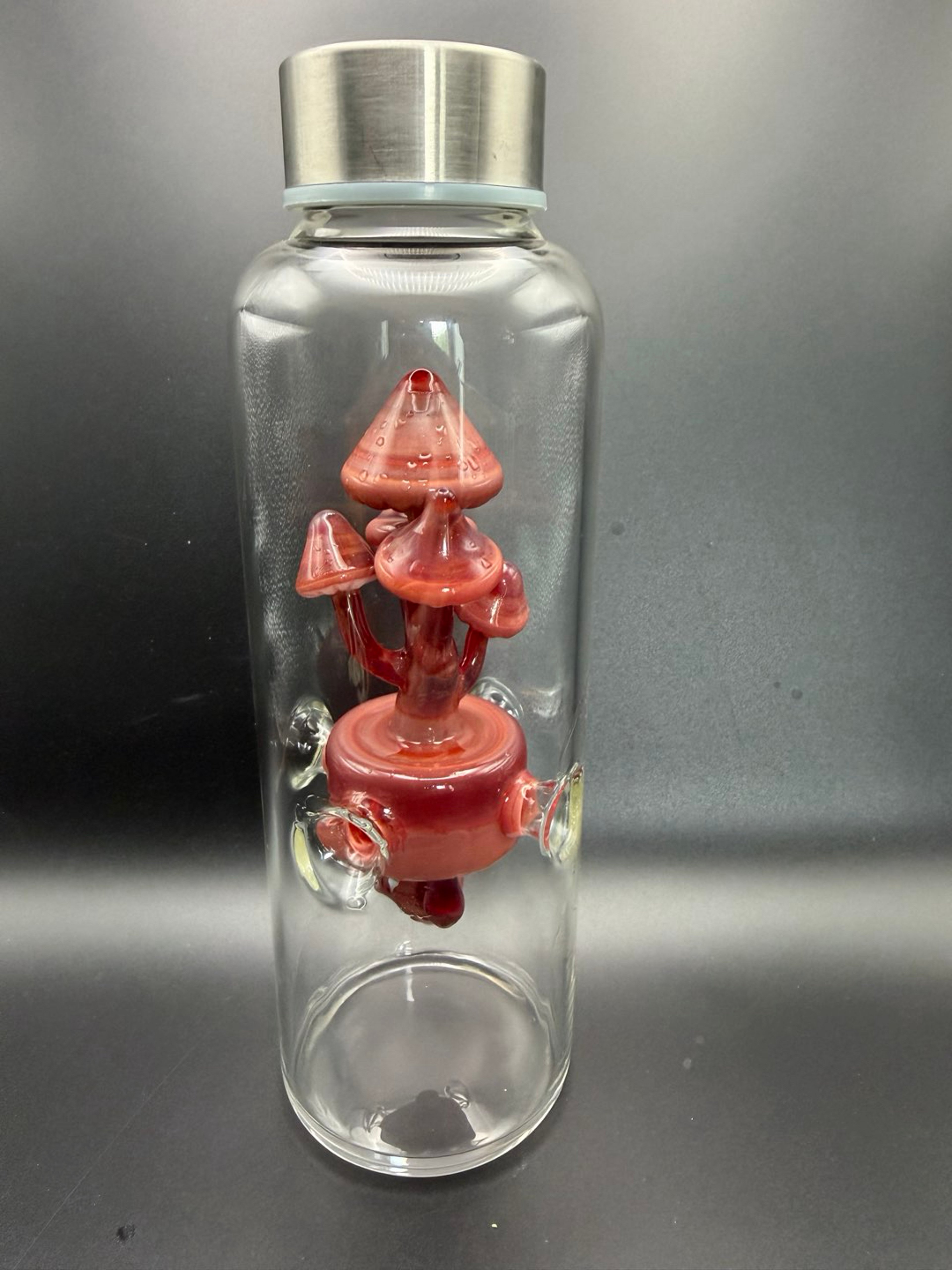 Preview pic of Redtail Glass mushroom water bottle