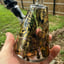 Small image 9