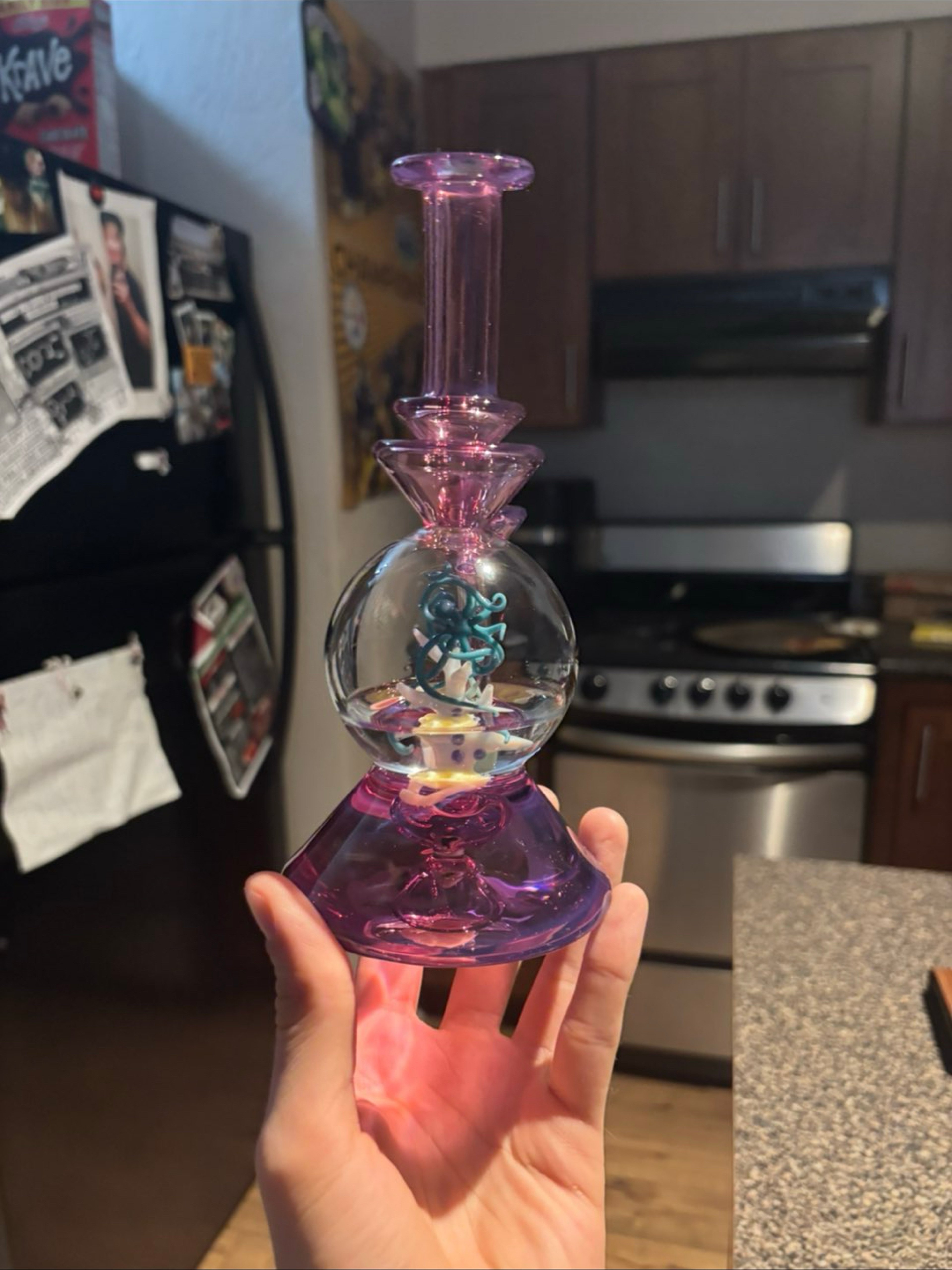 Preview pic of Liz Wright Aquarium Rig