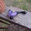 Small image 8