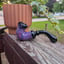 Small image 5
