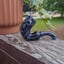 Small image 7