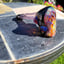 Small image 6
