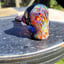 Small image 4