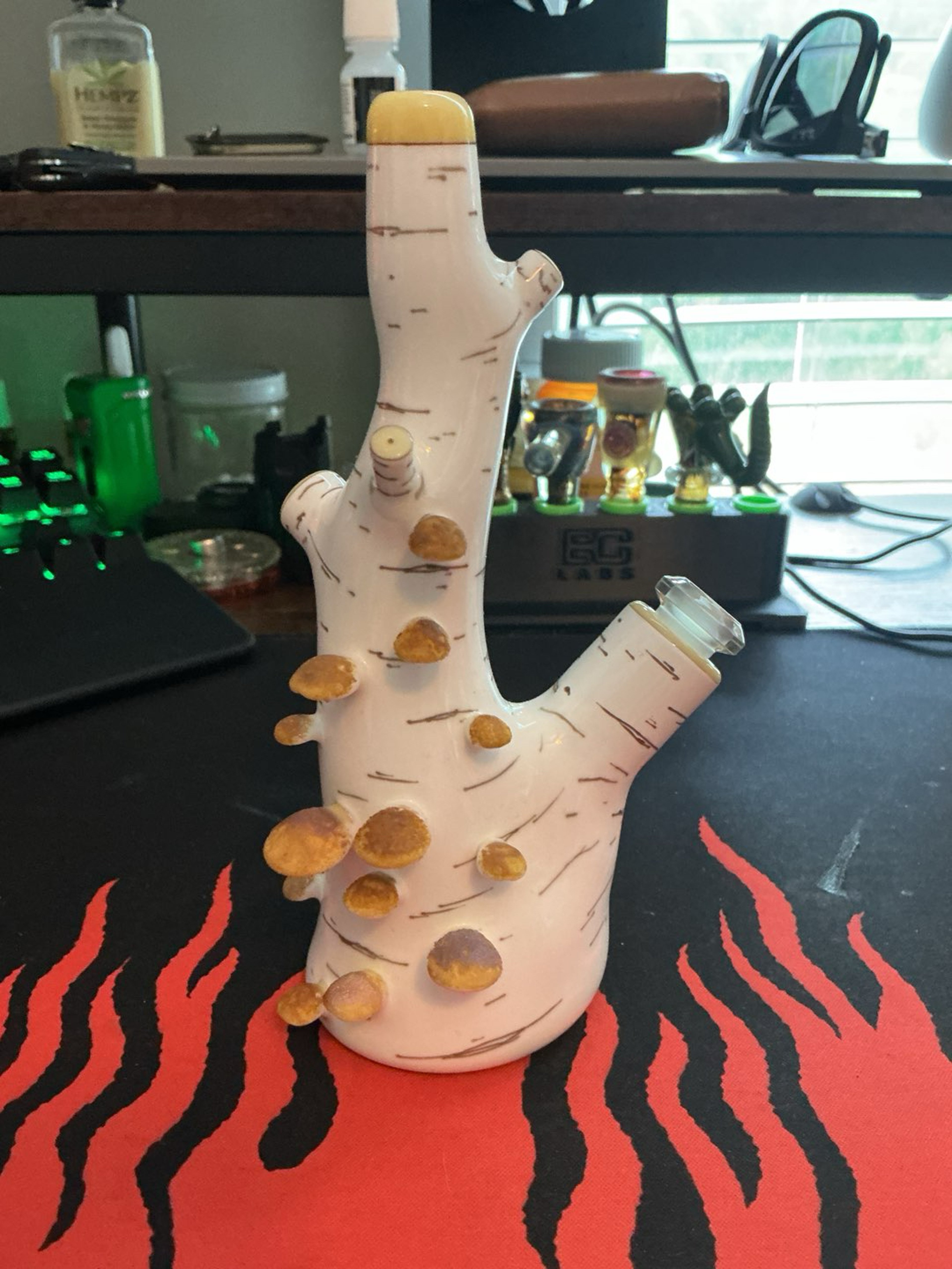 Preview pic of Mushroom Birch Rig