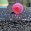 Small image 6