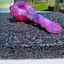 Small image 7