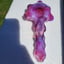 Small image 9
