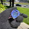 Small image 2