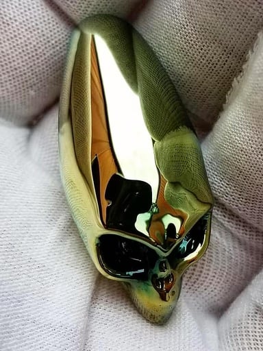 Preview pic of @elevatorglass Xenomorph Skull pendant