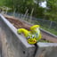 Small image 5