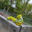 Small image 8