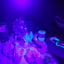 Small image 6