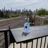 Small image 0