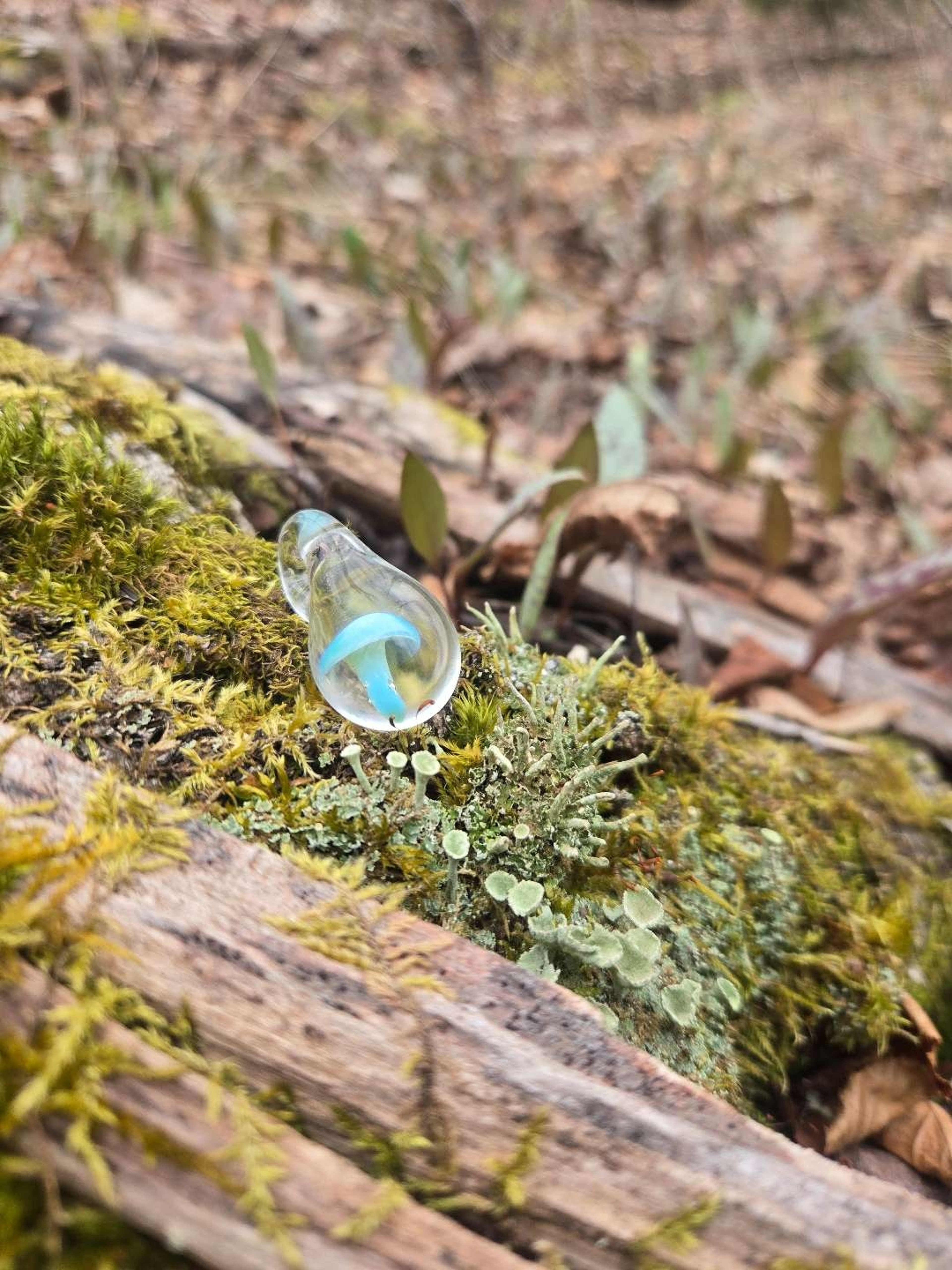 Preview pic of mushroom pendy