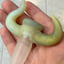 Small image 9