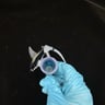 Small image 2