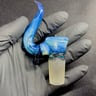 Small image 1