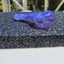 Small image 6