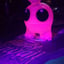 Small image 6