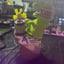 Small image 7