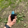 Small image 3