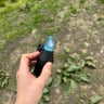 Small image 1