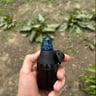 Small image 1
