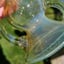 Small image 6