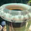 Small image 8