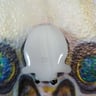 Small image 1
