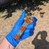 Small image 0