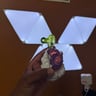 Small image 4