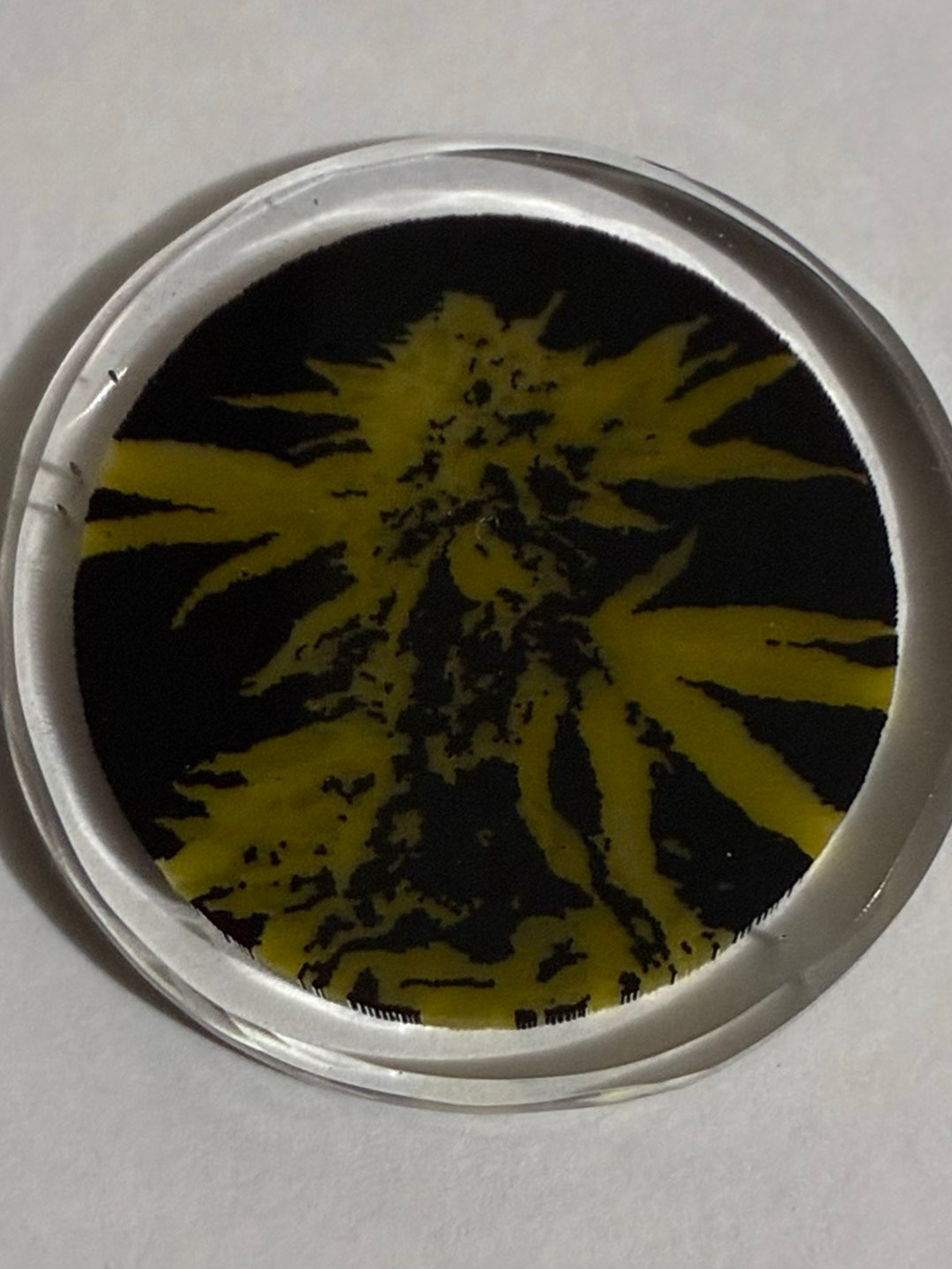 Preview pic of Precision Pulls Plant Millie Coin (Sold Out Design!)