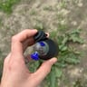 Small image 3