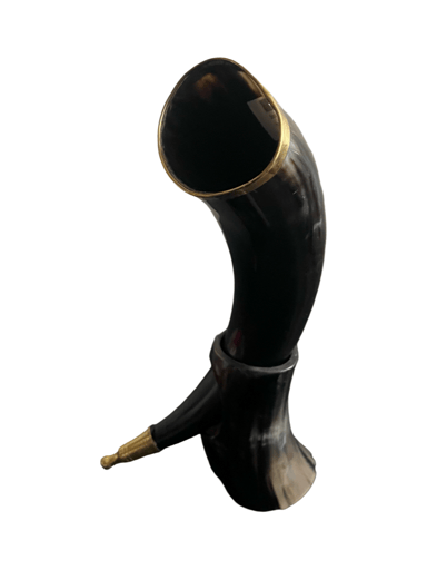 Preview pic of Viking Horns