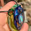 Small image 7