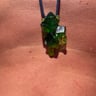 Small image 4