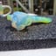 Small image 6