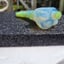 Small image 7