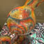 Small image 6