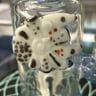 Small image 3