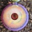 Small image 6